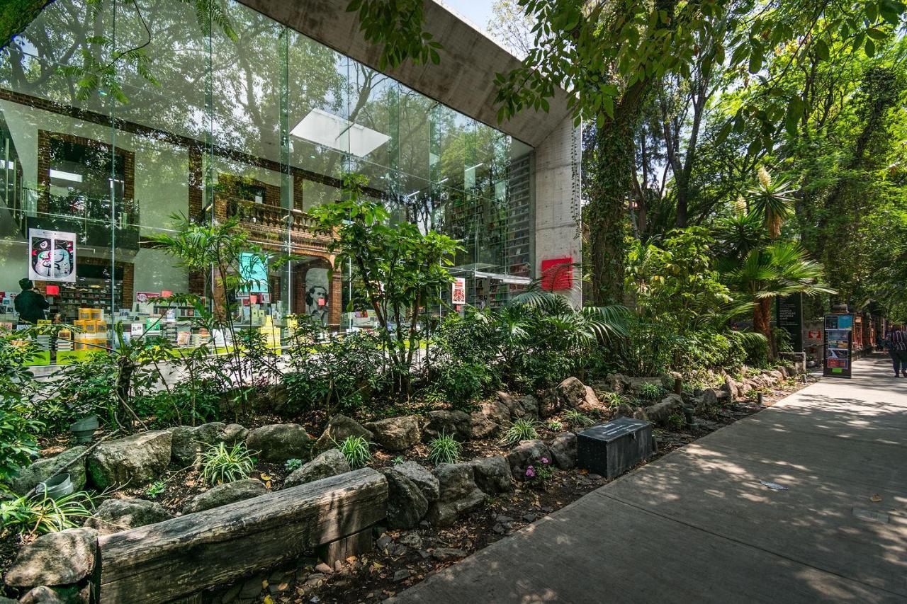 Ferienwohnung Fl 59 Coyoacan At Your Doorstep! Mexiko-Stadt Exterior foto