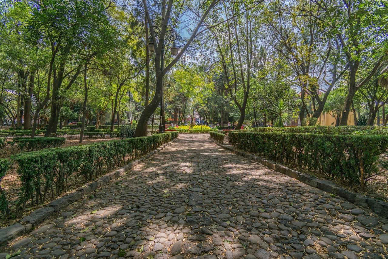 Ferienwohnung Fl 59 Coyoacan At Your Doorstep! Mexiko-Stadt Exterior foto